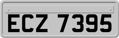 ECZ7395