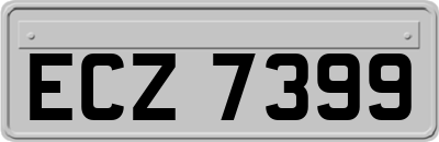 ECZ7399