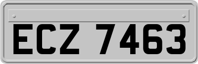ECZ7463