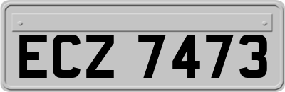 ECZ7473