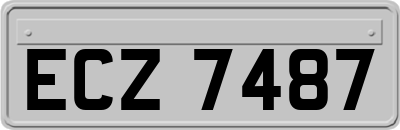 ECZ7487