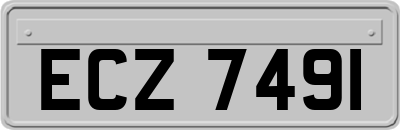 ECZ7491