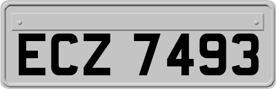 ECZ7493