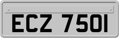 ECZ7501
