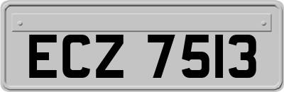 ECZ7513