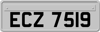 ECZ7519