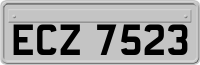 ECZ7523