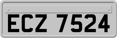 ECZ7524