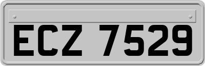 ECZ7529