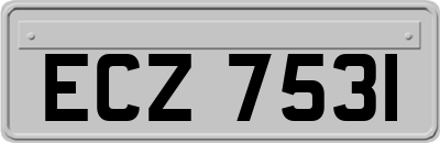 ECZ7531