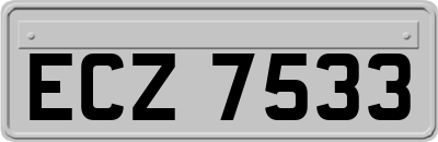 ECZ7533