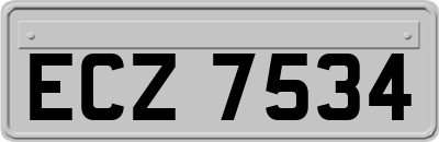 ECZ7534