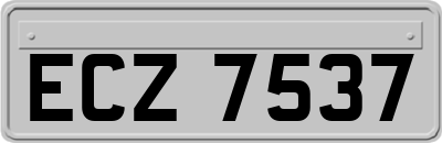ECZ7537