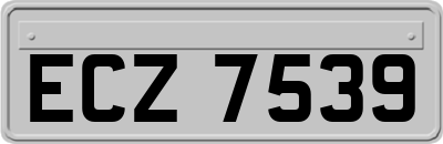 ECZ7539