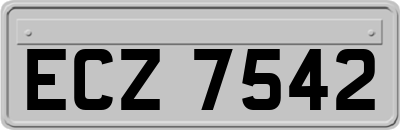 ECZ7542