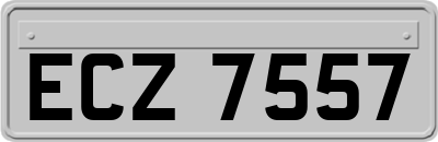 ECZ7557