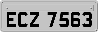 ECZ7563