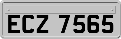 ECZ7565