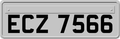 ECZ7566