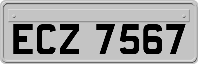 ECZ7567