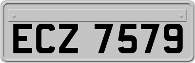 ECZ7579