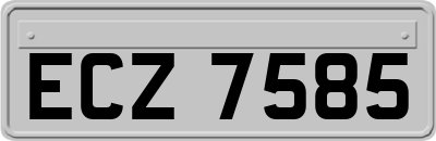 ECZ7585