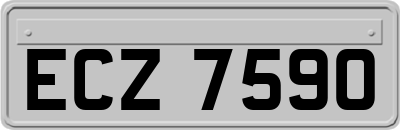ECZ7590