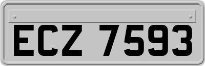 ECZ7593