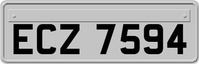 ECZ7594