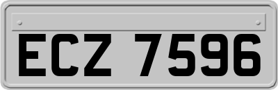 ECZ7596