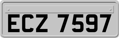 ECZ7597