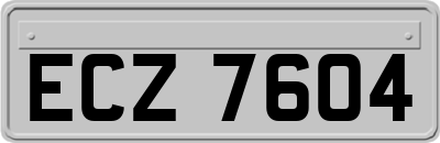 ECZ7604