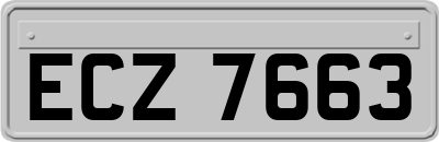 ECZ7663