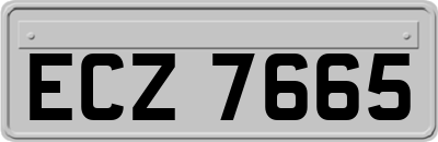 ECZ7665