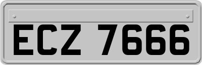 ECZ7666
