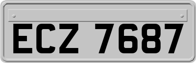 ECZ7687