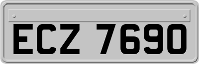 ECZ7690