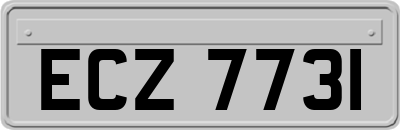 ECZ7731