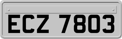 ECZ7803