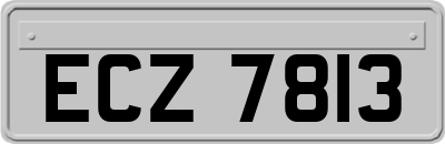 ECZ7813