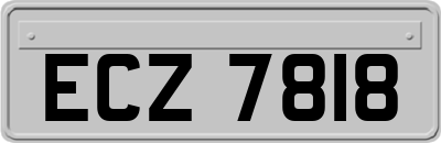 ECZ7818