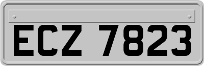 ECZ7823