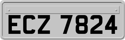 ECZ7824