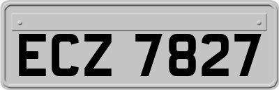 ECZ7827