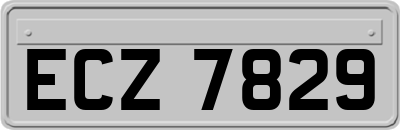 ECZ7829