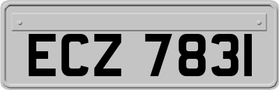 ECZ7831