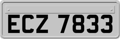ECZ7833