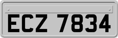 ECZ7834