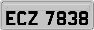 ECZ7838