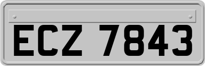 ECZ7843